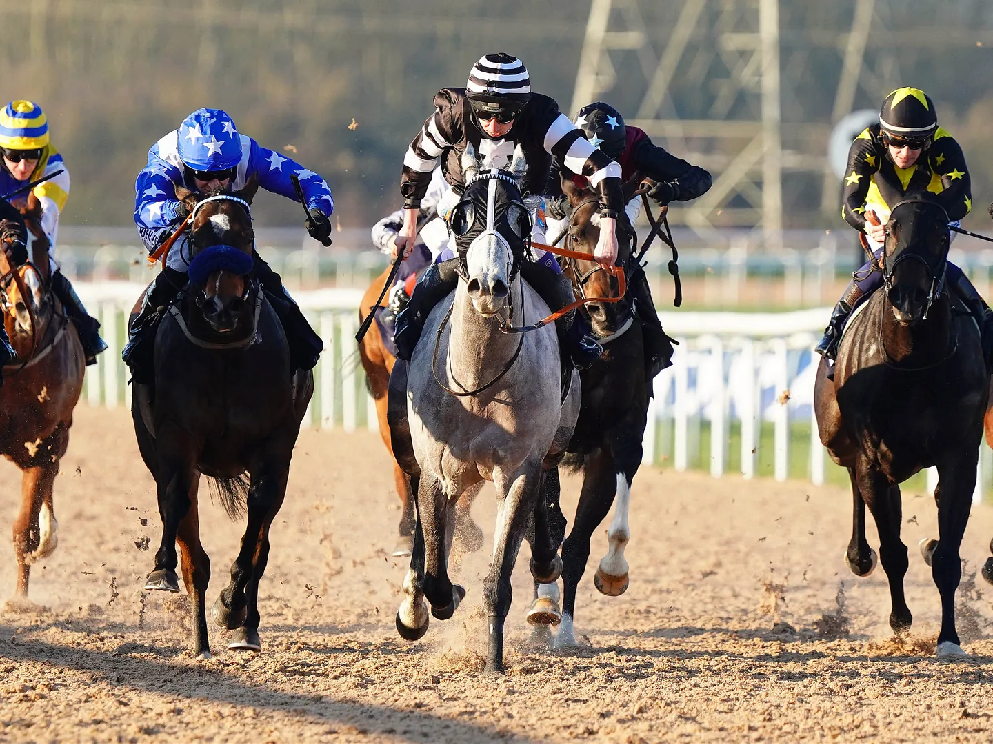 Winter Flat Racing