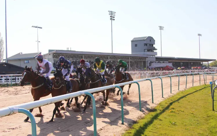 Horses approaching the first bend at Southwell with the grandstand behind them