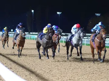 Floodlit Flat Racing at Southwell 