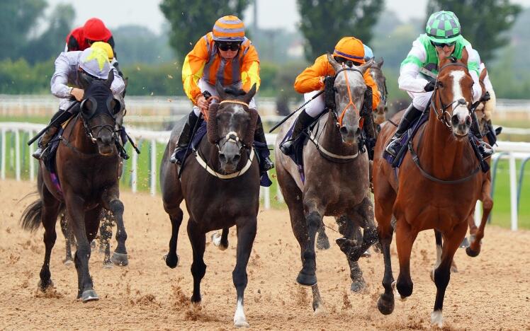 SOUTHWELL’S TAPETA TRACK CELEBRATES FIRST ANNIVERSARY