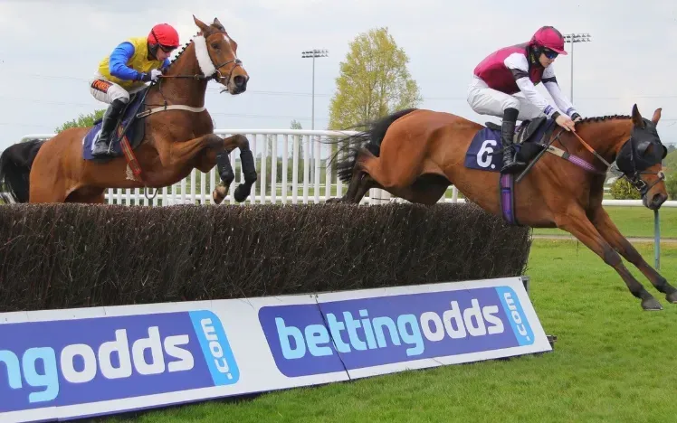Horses tackling the jumps at Southwell Races