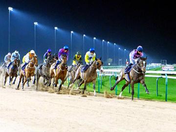 Experience thrilling floodlit racing in North Nottinghamshire.