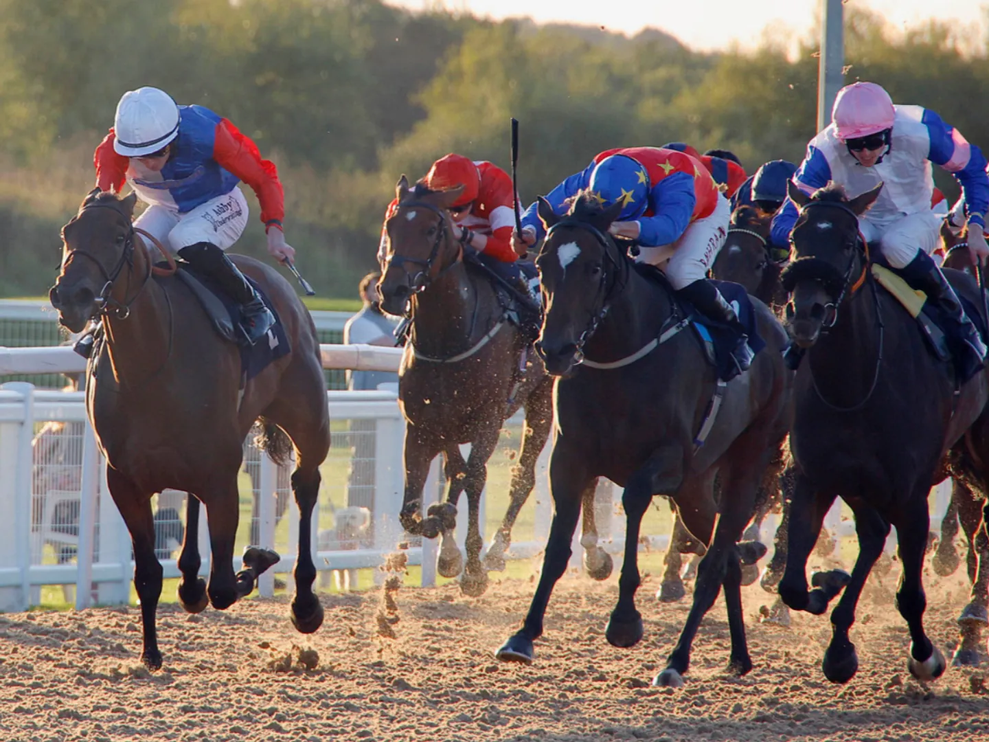Summer Evening Racing