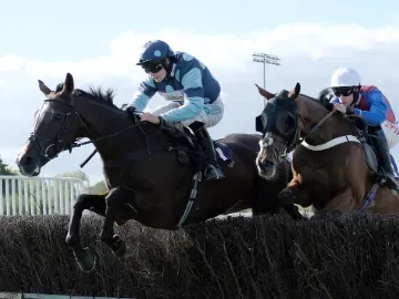 Jump racing at southwell