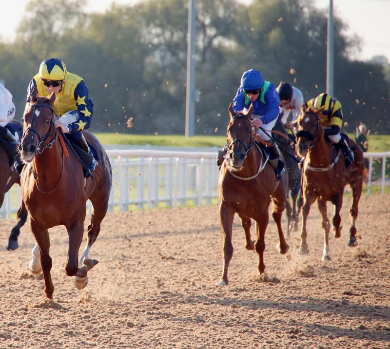 Race horses kicking up the all weather track at Southwell Racecourse