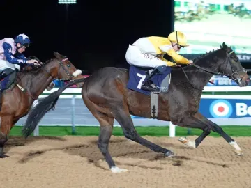 Flat Racing at Southwell Racecourse