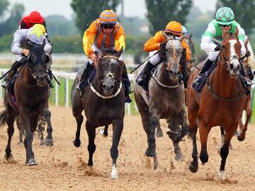 SOUTHWELL’S TAPETA TRACK CELEBRATES FIRST ANNIVERSARY