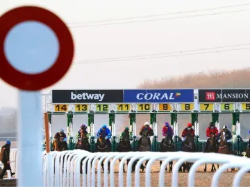 Horses in the starting stalls at Southwell with the finishing post in the forefront.
