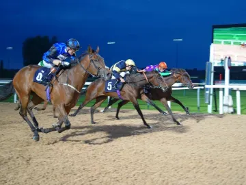 flat racing southwell 