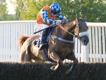 Join us for Autumn jumps racing.