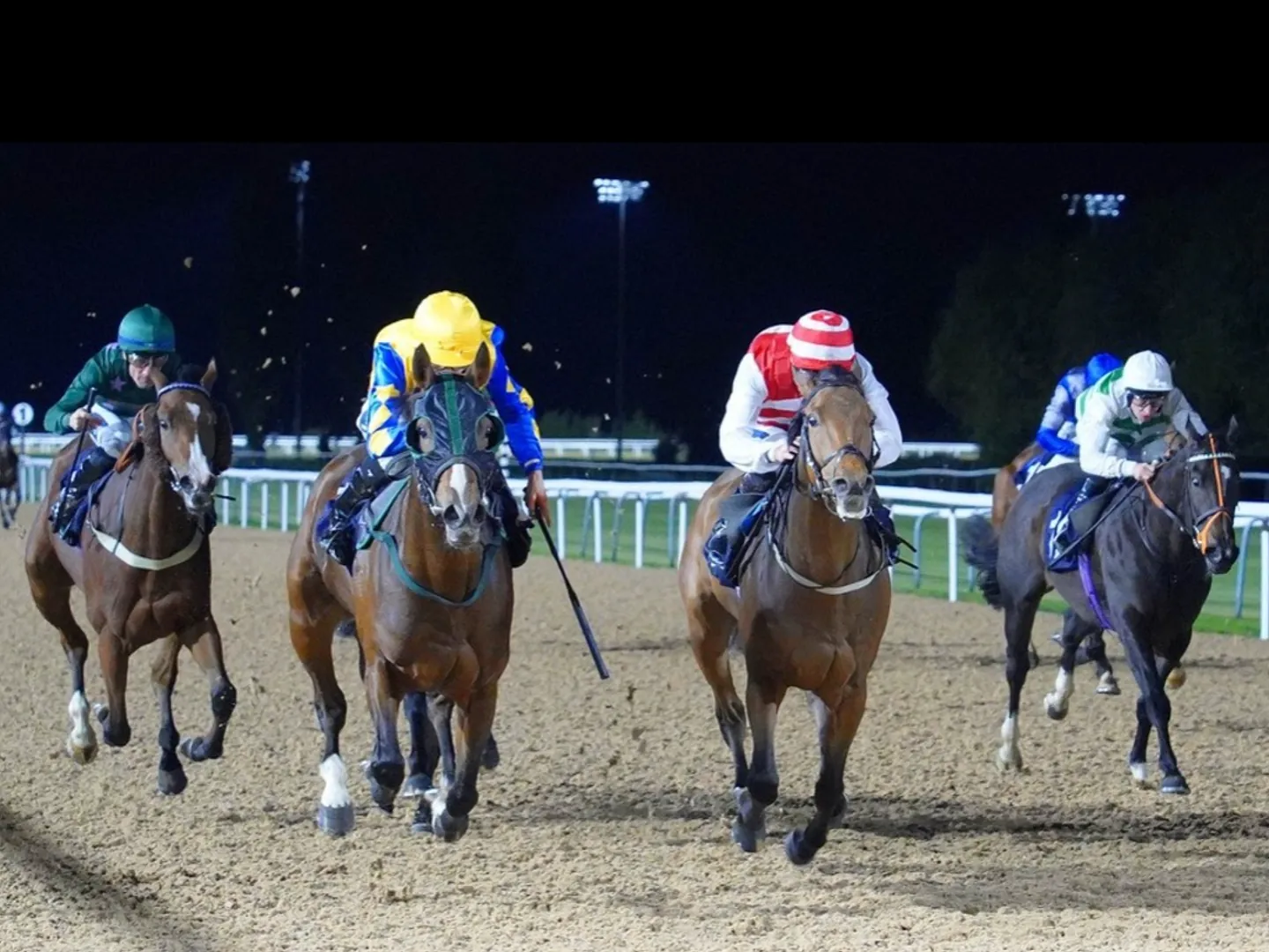 Floodlit Flat Racing