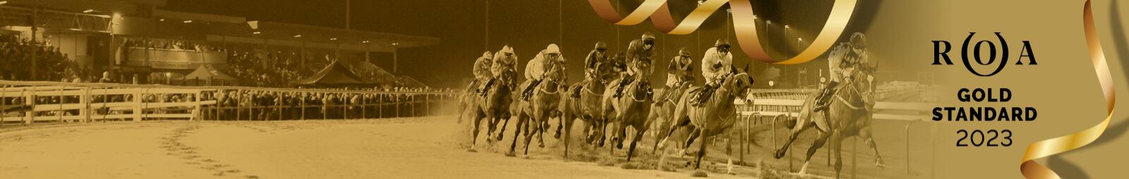 ROA Gold Standard 2023