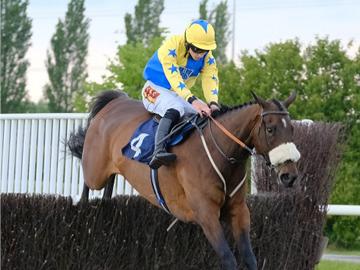 Join us for jumps racing in the heart of North Nottinghamshire.