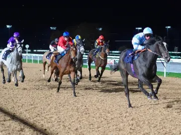 Floodlit Flat Racing at Southwell 