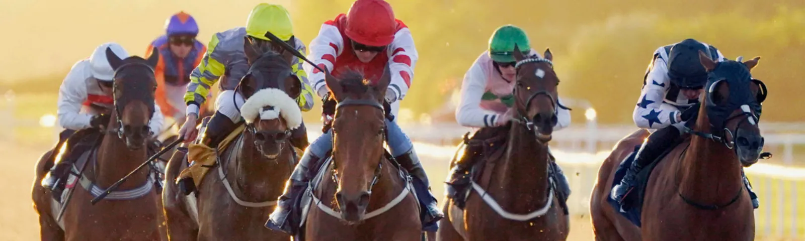 Summer Evening Racing