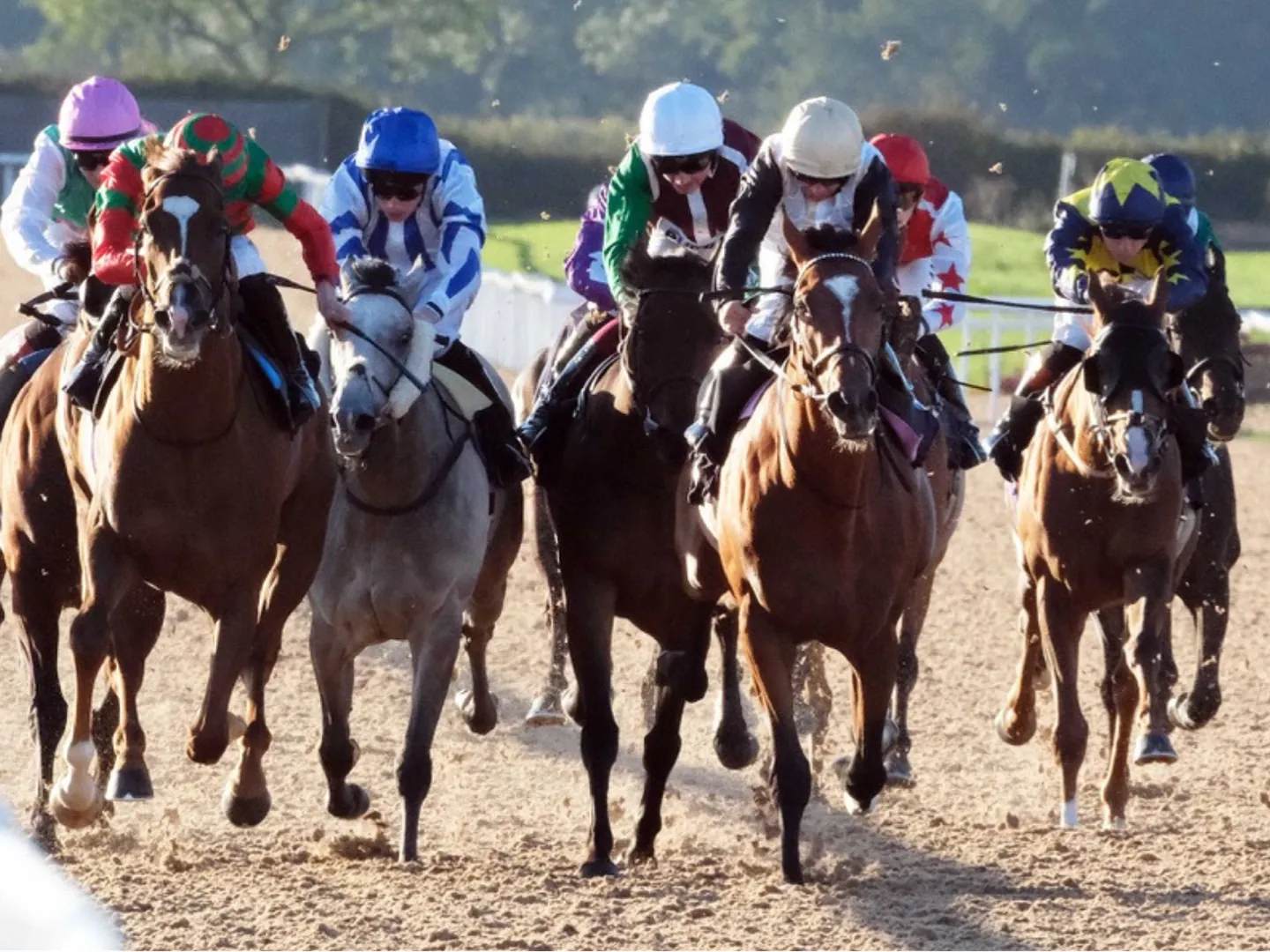 Summer Flat Racing