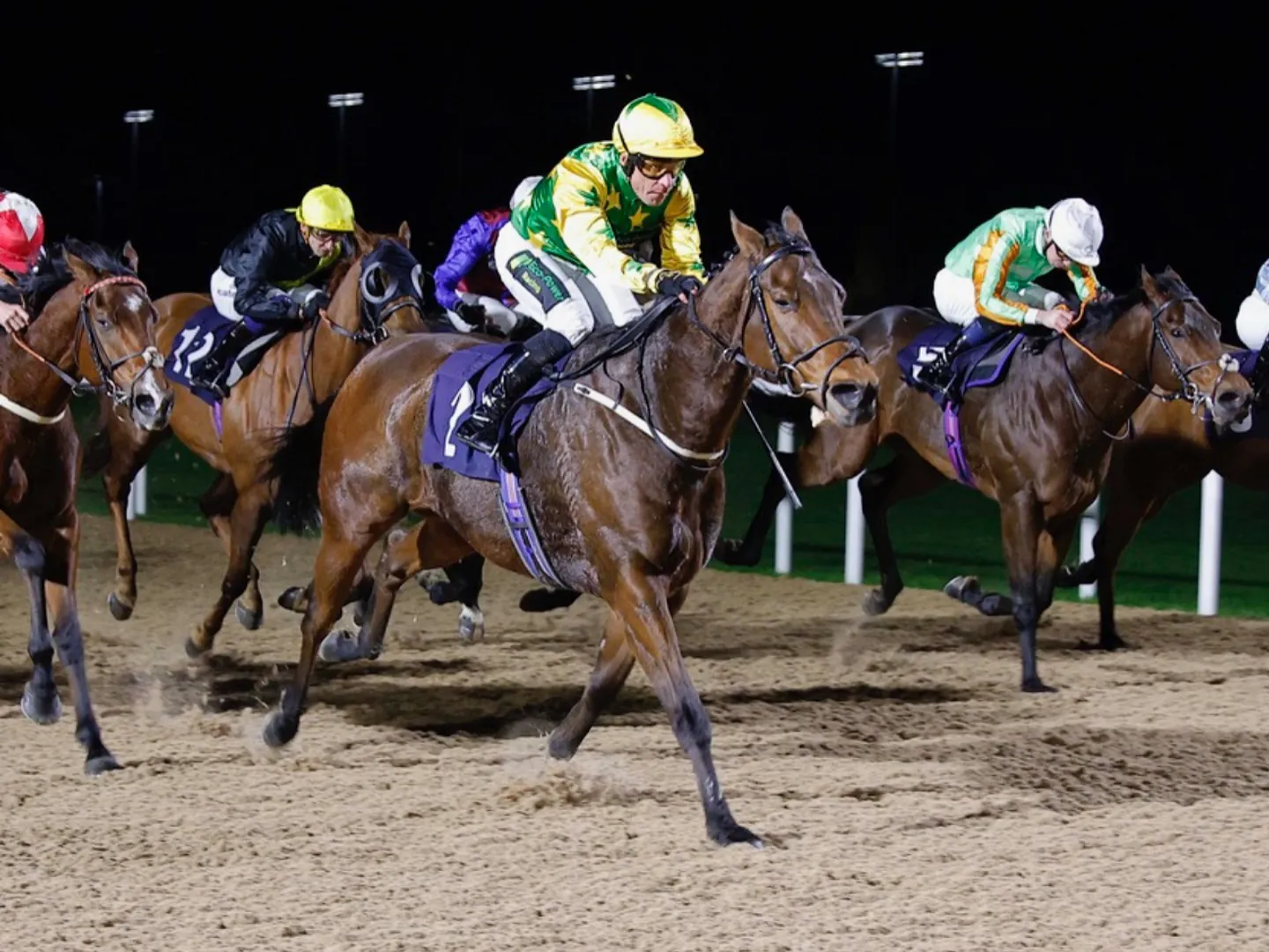 Floodlit Flat Racing at Southwell Racecourse