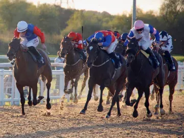 flat racing at Southwell