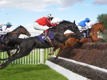 jump racing southwell 