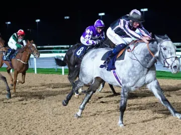 Floodlit Flat Racing at Southwell 