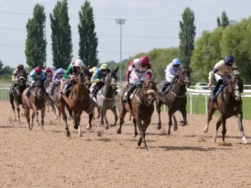 Flat Racing Southwell