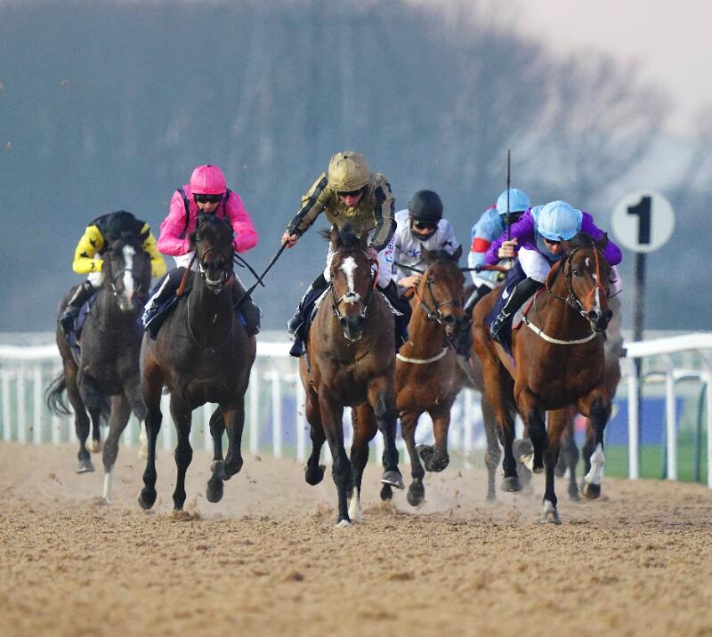 All Weather Championships at Southwell Racecourse