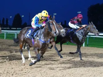 Flat Racing at Southwell Racecourse