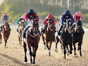 Flat Racing at Southwell Racecourse