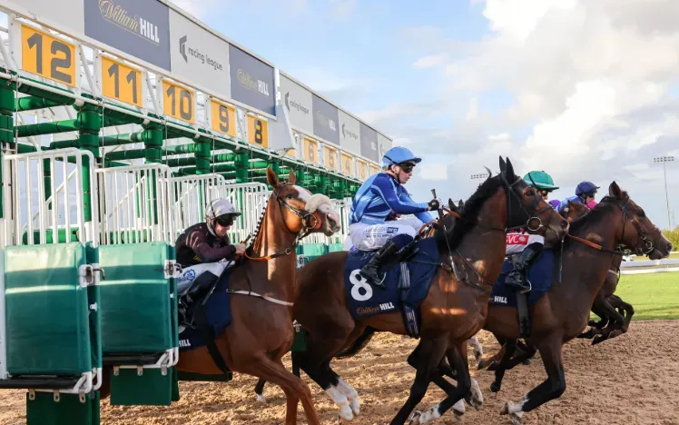 Horses leaving the starting stalls at Southwell