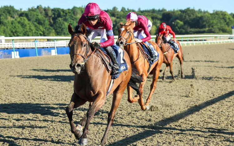 Immortal Beauty leads home a one-two for London & The South (credit: Grossick Racing Photography