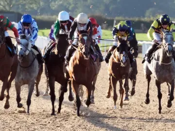  Flat Racing at Southwell 