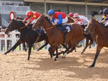 flat racing at southwell