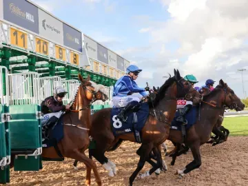 Horses leaving the starting stalls at Southwell