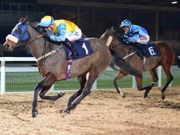 Floodlit flat racing Southwell