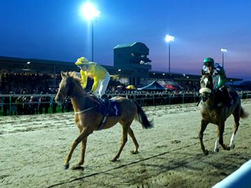 Whats On Fixtures Southwell Racecourse