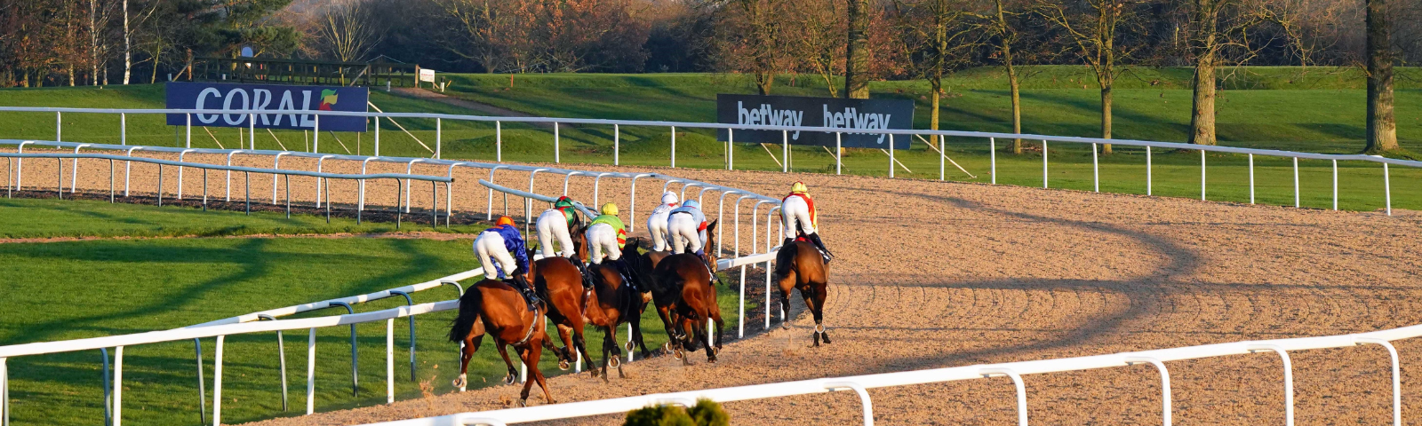 Afternoon Flat Racing Whats On Southwell Racecourse