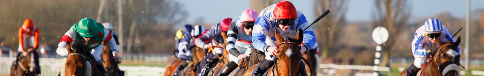 Flat Horse Racing at Southwell Racecourse