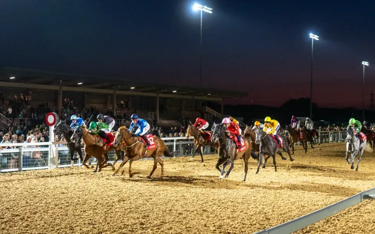 Racing League at Southwell Racecourse