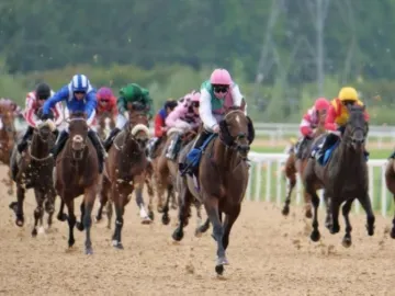 Shader at Southwell Racecourse