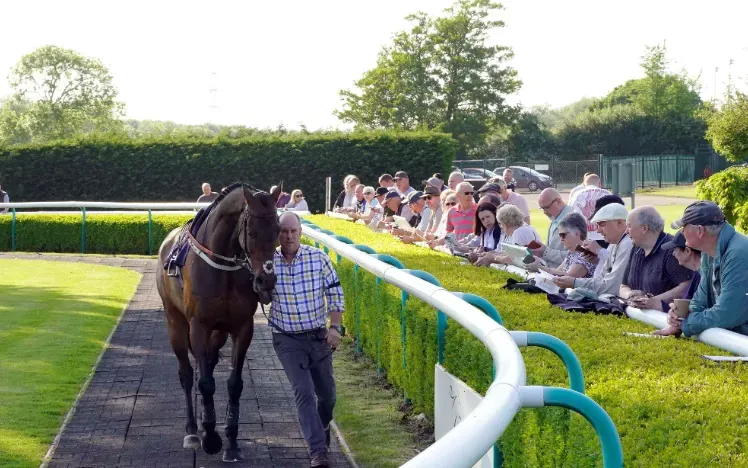 A horse is led round the parade ring at Southwell Races