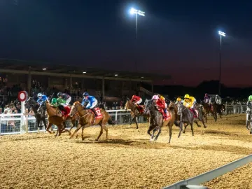 Racing League at Southwell Racecourse