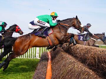 Wednesday Afternoon Jump Racing at Southwelll Races