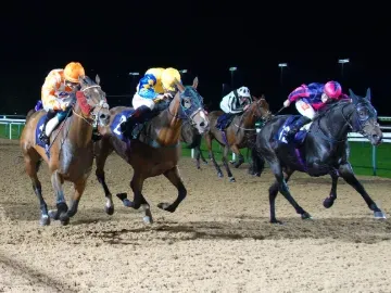 Flat Racing Southwell