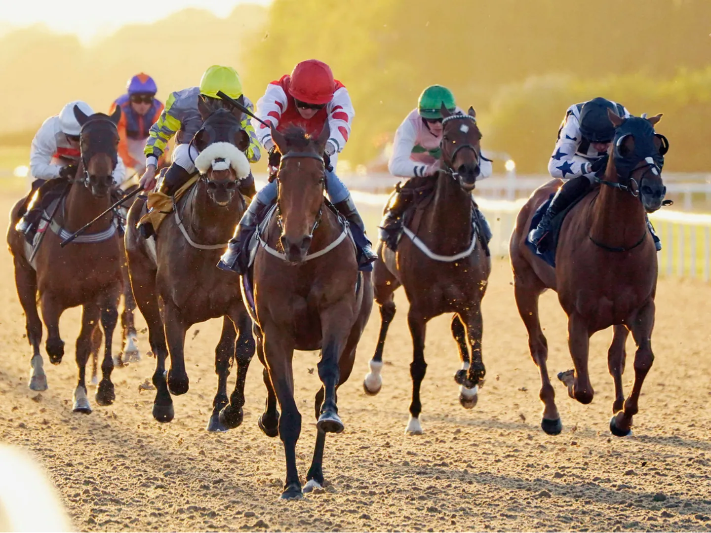 Summer evening racing