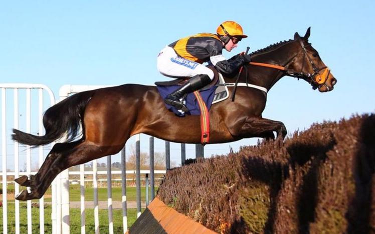 A horse and jockey jumping a fence.