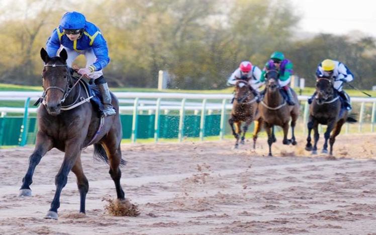 A clear leader as four horses with Jockeys run towards the camera.