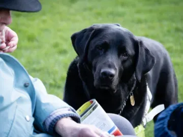 Dog at Southwell Racecourse
